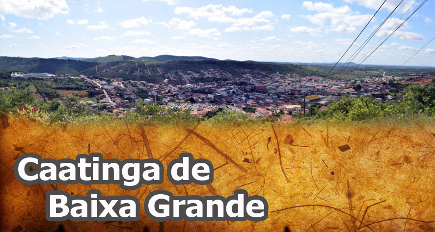 Caatinga de Baixa Grande
